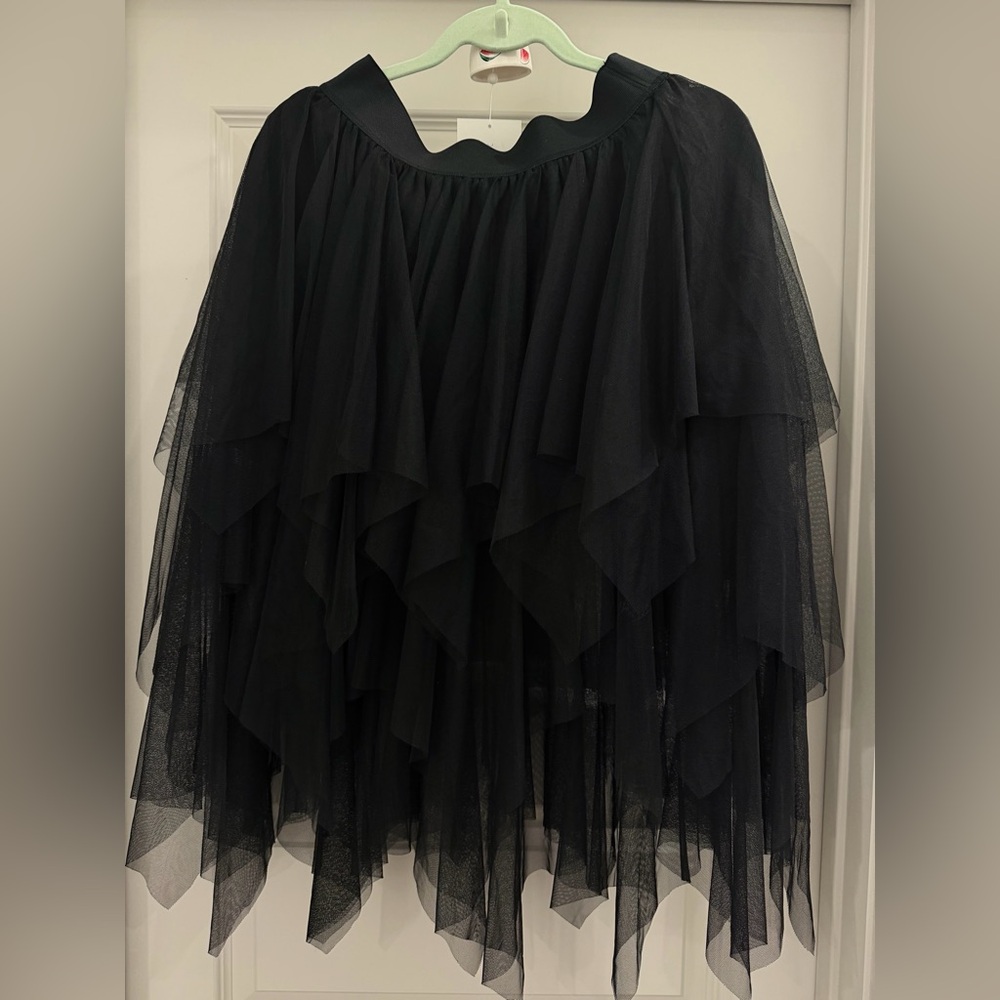 Zara Black Tulle Midi Skirt
